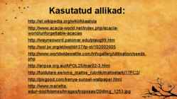 Akaatsia #25
