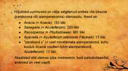 Akaatsia #5