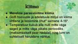Iiri Vabariik #13