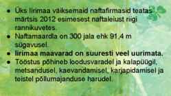 Iiri Vabariik #17