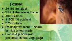 Iiri Vabariik #21