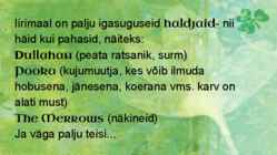 Iiri Vabariik #43