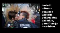 Punk #13