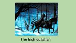 Rebublic of Ireland #13