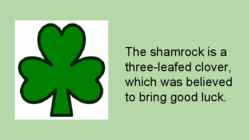 Rebublic of Ireland #7