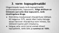 Siberi katk-Suu- ja sõrataud #12