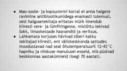Siberi katk-Suu- ja sõrataud #13