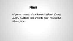 Siberi katk-Suu- ja sõrataud #19