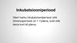 Siberi katk-Suu- ja sõrataud #23