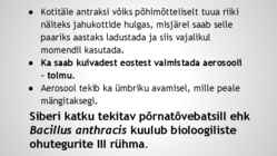 Siberi katk-Suu- ja sõrataud #26