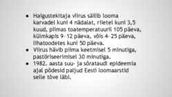 Siberi katk-Suu- ja sõrataud #30