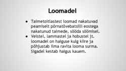 Siberi katk-Suu- ja sõrataud #4