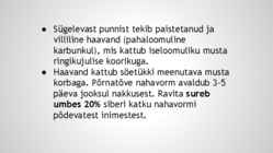 Siberi katk-Suu- ja sõrataud #9