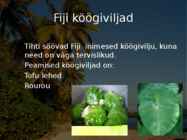 Fiji #12