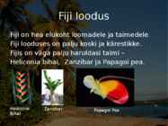 Fiji #13