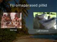 Fiji #21