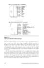 Book Analog Interfacing to Embedded Microprocessors #189