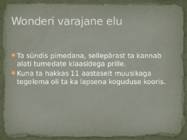 Stevie Wonder ja Ray Charles souli üldiseloomustus #5