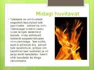 Tuletael #6