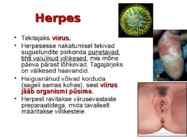 Sugulisel teel levivad haigused-HIV ja kaitsevahendid #6