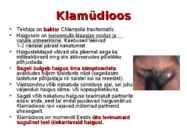 Sugulisel teel levivad haigused-HIV ja kaitsevahendid #7
