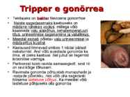 Sugulisel teel levivad haigused-HIV ja kaitsevahendid #9