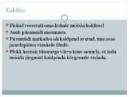 Egiptuse püramiidide ehituskäik #5