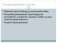 Egiptuse püramiidide ehituskäik #8