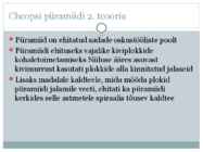 Egiptuse püramiidide ehituskäik #9
