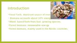 Forest Bioenergy #3
