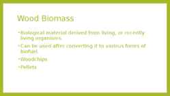 Forest Bioenergy #5