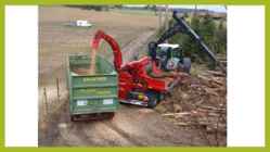 Forest Bioenergy #6