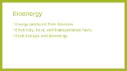 Forest Bioenergy #8