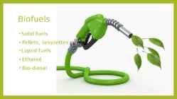 Forest Bioenergy #10
