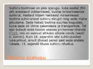 Erinevate suhkrute kasutamine kulinaarias #13