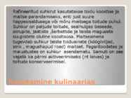 Erinevate suhkrute kasutamine kulinaarias #15