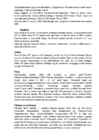 Norra #16