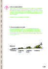 KORISTAMINE - SEE ON LIHTNE #13
