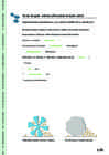 KORISTAMINE - SEE ON LIHTNE #53