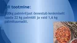 Palmiõli #5