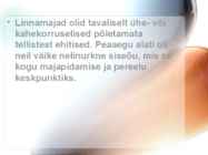 Vana-Kreeka igapäevaelu #4