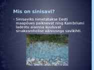 Sinisavi #2
