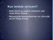 Sinisavi #3