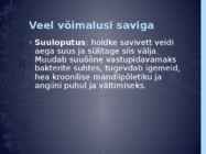 Sinisavi #10
