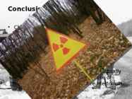 Cernobyl Disaster #12