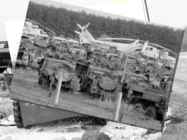 Cernobyl Disaster #5