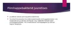 BAKTERID #6