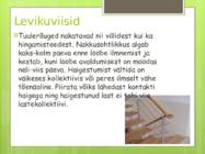 Tuulerõuged #3