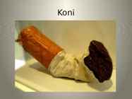 Claes Oldenburg #5