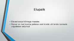 Skorpionid esitlus Kristofer ja Ragnar #3
